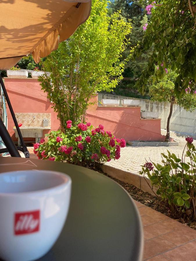 B&B Santa Lucia Silvi Paese Kültér fotó
